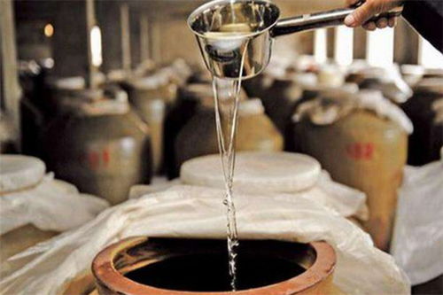 酒真多 掘金白酒零售市場的加盟新機(jī)遇